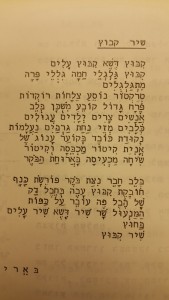 בארי צימרמן