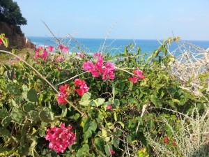 טיול אופניים נחל אלכסנדר 2018 (1)