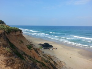 טיול אופניים נחל אלכסנדר 2018 (3)