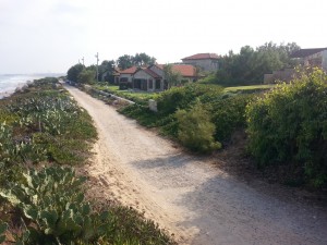 טיול אופניים נחל אלכסנדר 2018 (4)