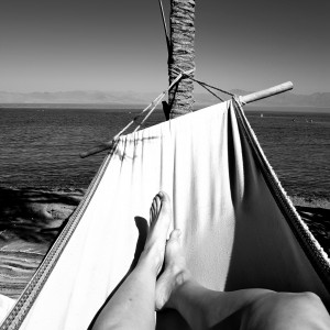 מיטל סיון סיני 2018