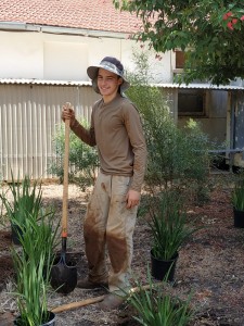 נדב דוד עבודה בנוי 2018 צילמה עדי תירוש