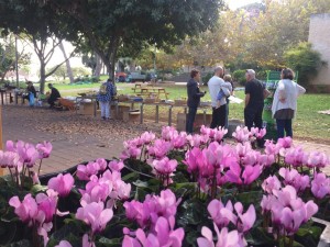 פסטיבל הפקעות