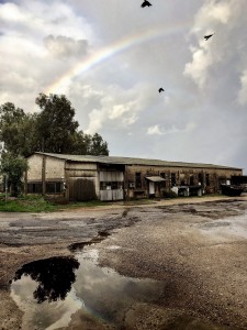 אפרת אשל נגריה 2018