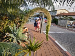 הגינה של דוד קראוס