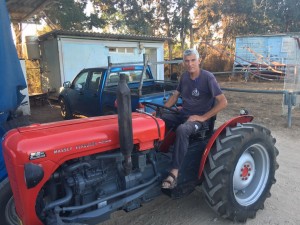 יפתח לברון צילם רוני פולק 2019