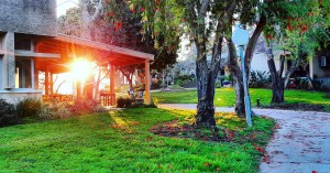 ליאן פולק חצר הקיבוץ אביב 2019 (11)