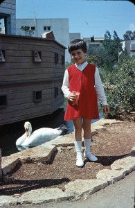 תמונות אלי ורפל משפחה אורית (5)