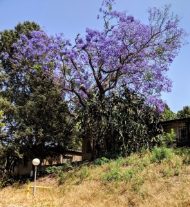 2019-05-28 14.06.04-1