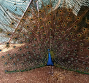 MVIMG_20190520_105818