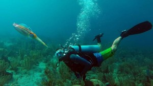 WhatsApp Image 2019-05-28 at 16.26.59 (1)