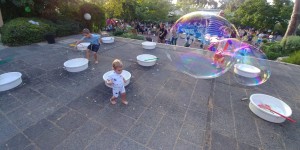 חג משק צילם איתמר רגב צילם 2019