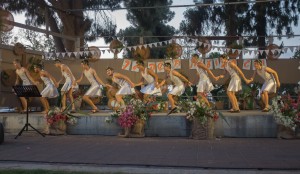 שבועות 2019 נעורים ריקוד מים לדוד המלך (2)