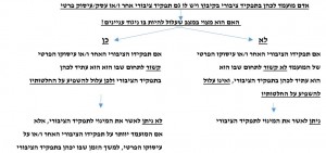 תרשים רקפת ניגוד עניינים אוגוסט 2019