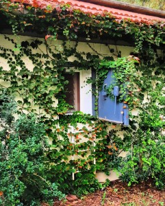 IMG_20190911_080622_316