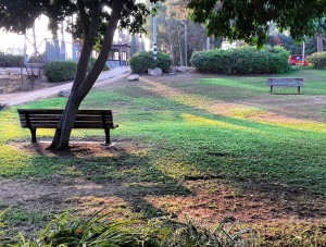 IMG_20190915_175158_729