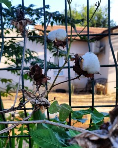 IMG_20190917_130657_337