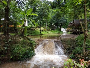 WhatsApp Image 2019-09-09 at 14.58.19 (3)