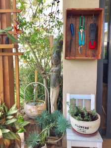 ארגז לכלי עבודה שנמצא זרוק ליד מחסן המיים