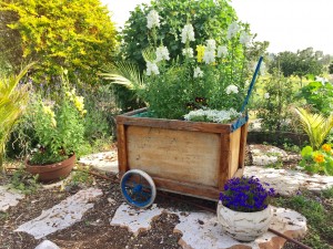 עגלה שאמיל מצא ושיפץ