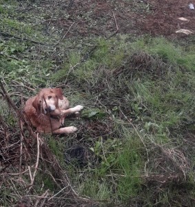 WhatsApp Image 2020-01-04 at 11.43.13