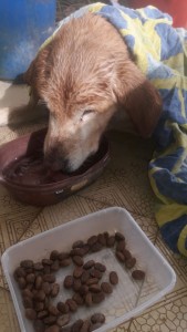 WhatsApp Image 2020-01-04 at 12.05.09