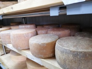 82785727_10156854693766398_2735181129966419968_n