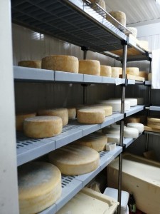 82894750_10156854694076398_6754114601589145600_n