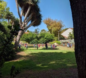 צילום: היידי עפרון