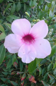 צילום: ימימה גושן