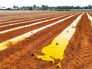 צילום: יובל נקר