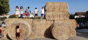 שבועות 2019 צילם יוני פרינץ