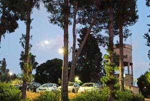 WhatsApp Image 2020-07-09 at 14.37.02