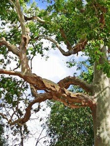 WhatsApp Image 2020-07-09 at 14.37.53