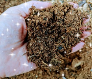 PicsArt_11-04-03.25.41