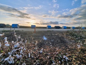 אמיר שילה 2020 (6)