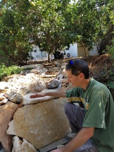 דויד שרון מפל מיים