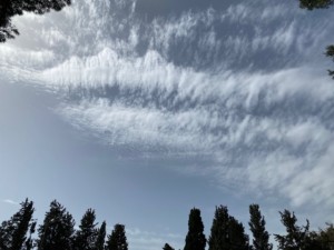 שירלי צ'רבנקה (14)