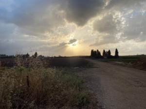 שירלי צ'רבנקה (46)