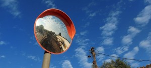 ליאן פולק 2020