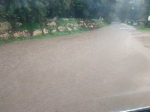 צילום: שלמה כהן