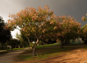 צילום: יניב אופיר