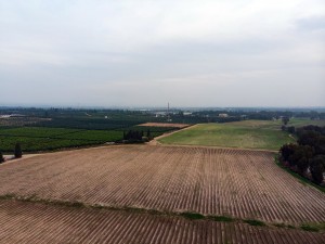 צילום: יניב אופיר