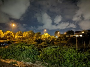 צילום: היידי עפרון