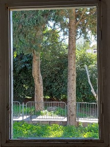 מבט אחרון מחלון הפעוטון