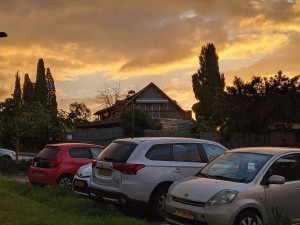 צילום: יוסי רום