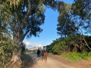 צילום: סמדר כרמל