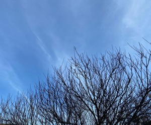 צילום: סמדר כרמל