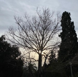 צילום: סמדר כרמל