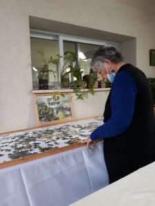 תמר לנג פאזל 1